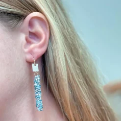 Crystal Encrusted Straight Dangle Earrings - Blue