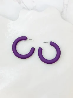Fall Color Coated Hoop Earrings - Purple