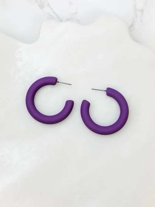 Fall Color Coated Hoop Earrings - Purple