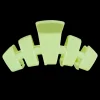 Large Teleties Claw Clip - Aloe, There!