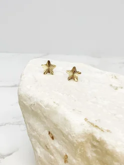 Shining Star Stud Earrings - Gold