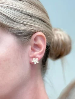 Shining Star Stud Earrings - Gold