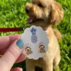 Signature Pet Enamel Studs by Prep Obsessed - Doodle