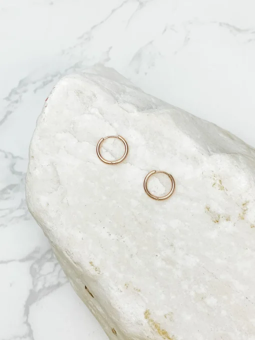 Stainless Steel Hoop Earrings - Rose Gold