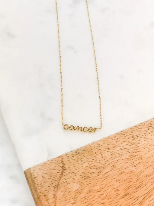 Zodiac Name Plate Necklaces